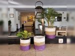 Mini Pot Purple Untuk Vas Bunga dan Tanaman Hias
